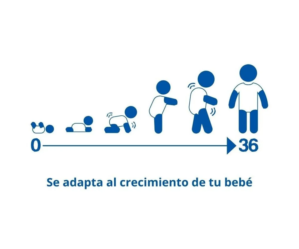 Ropa Infantil^J BIMBI 2 Body Bebé (0-36meses) Manga Corta 4 Season Brown