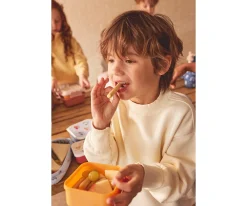 Outlet 3 Cajas Almuerzo Magical Forest Cajas De Almuerzo|Colecciones Vuelta Al Cole