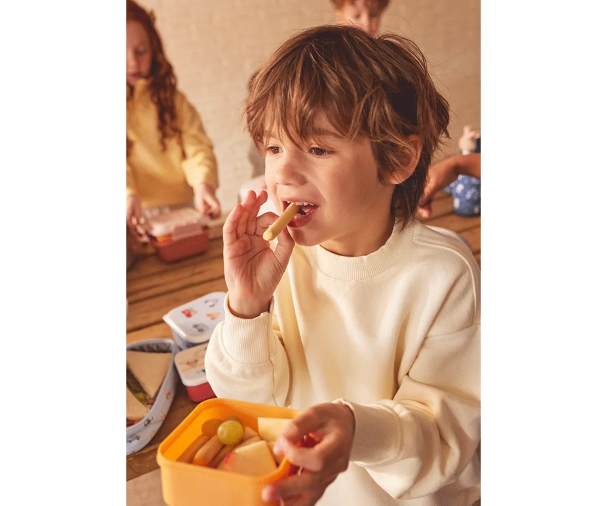 Outlet 3 Cajas Almuerzo Magical Forest Cajas De Almuerzo|Colecciones Vuelta Al Cole