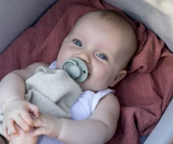 Chupetes Con Diseños^BIBS 2 Chupetes De Lux Mustard/Petrol Silicona