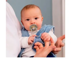 Chupetes Con Diseños^BIBS 2 Chupetes Studio Colour Round Jasmine Sage Mix