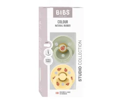 Chupetes Con Diseños^BIBS 2 Chupetes Studio Colour Round Ladybug Sage Mix