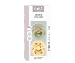 Chupetes Con Diseños^BIBS 2 Chupetes Studio Colour Round Ladybug Sage Mix