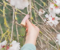 Juguetes Bebé 6 Meses^Grapat 18 Palos Arcoiris