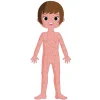 Online 4 Puzles Educativos El Cuerpo Humano Niños Juguetes Niños 6 Años|Juguetes Niños 5 Años