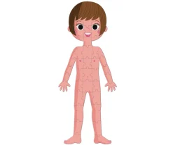 Online 4 Puzles Educativos El Cuerpo Humano Niños Juguetes Niños 6 Años|Juguetes Niños 5 Años