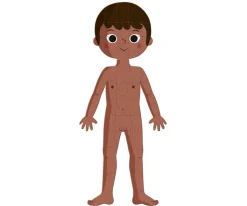 Online 4 Puzles Educativos El Cuerpo Humano Niños Juguetes Niños 6 Años|Juguetes Niños 5 Años