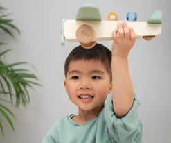 Best Avión Madera Animales Niños Juguetes Para Niños De Un Año|Juguetes Para Niños De 18 Meses
