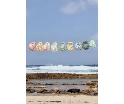 Bañadores Pañal^Lassig Bañador Pañal Check