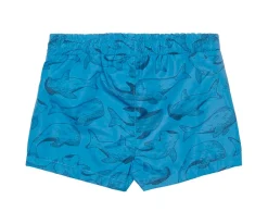 Bañadores Niños^Little Dutch Bañador Sea Life Azul