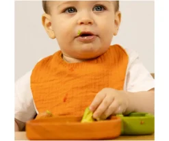 Baberos^Oli & Carol Babero Cathy The Carrot