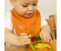 Baberos^Oli & Carol Babero Cathy The Carrot