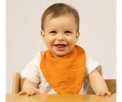 Baberos^Oli & Carol Babero Cathy The Carrot