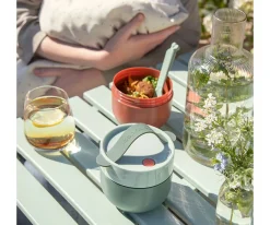 Cajas De Almuerzo^Done by Deer Bol To Go Green