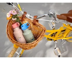 Best Botella Acero Inoxidable Sunny Explorer Green/Blue 500 ml Botellas De Acero|Comer Al Aire Libre