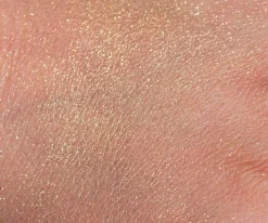 Pintura De Uñas, Brillos Y Tattoos^Namaki Brocha & Polvos Brillantes Dorado