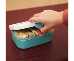 Online Caja Almuerzo Midi Campus Hot Wheels Cajas De Almuerzo|Fiambreras Infantiles