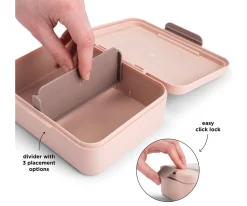 Online Caja de Almuerzo con Divisor Tiny Farm Powder Cajas De Almuerzo|Fiambreras Infantiles