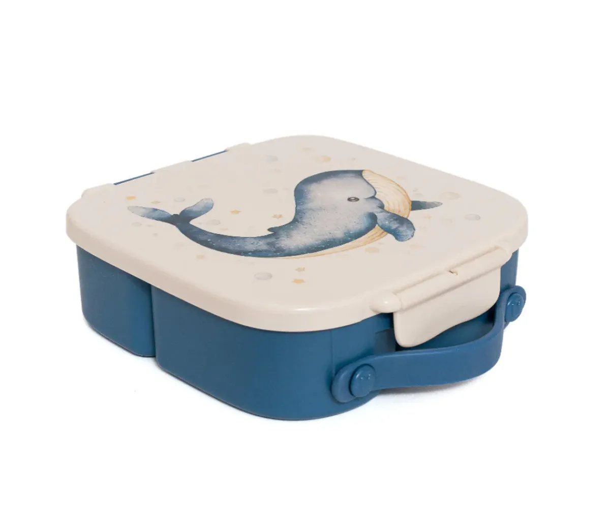 Cajas De Almuerzo^Petit Monkey Caja de Almuerzo Whale