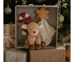 Regalos Para Bebés^Little Dutch Caja de Regalo Recién Nacido de Navidad Personalizable