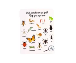 Discount Caja para Insectos de Madera Niños Juguetes Niños 3 Años|Juguetes Niños 5 Años