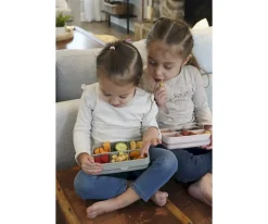 Outlet Caja Snackle 6 Compartimentos Dino Cajas De Almuerzo|Fiambreras Infantiles