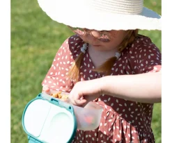 Best Cajita Almuerzo Snack Emerald Forest Cajas De Almuerzo|Comer Al Aire Libre