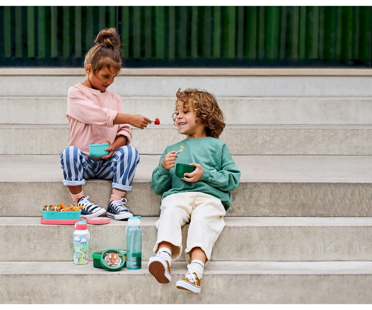 Clearance Cajita para Fruta Fairy Garden Fiambreras Infantiles|Cajas De Almuerzo