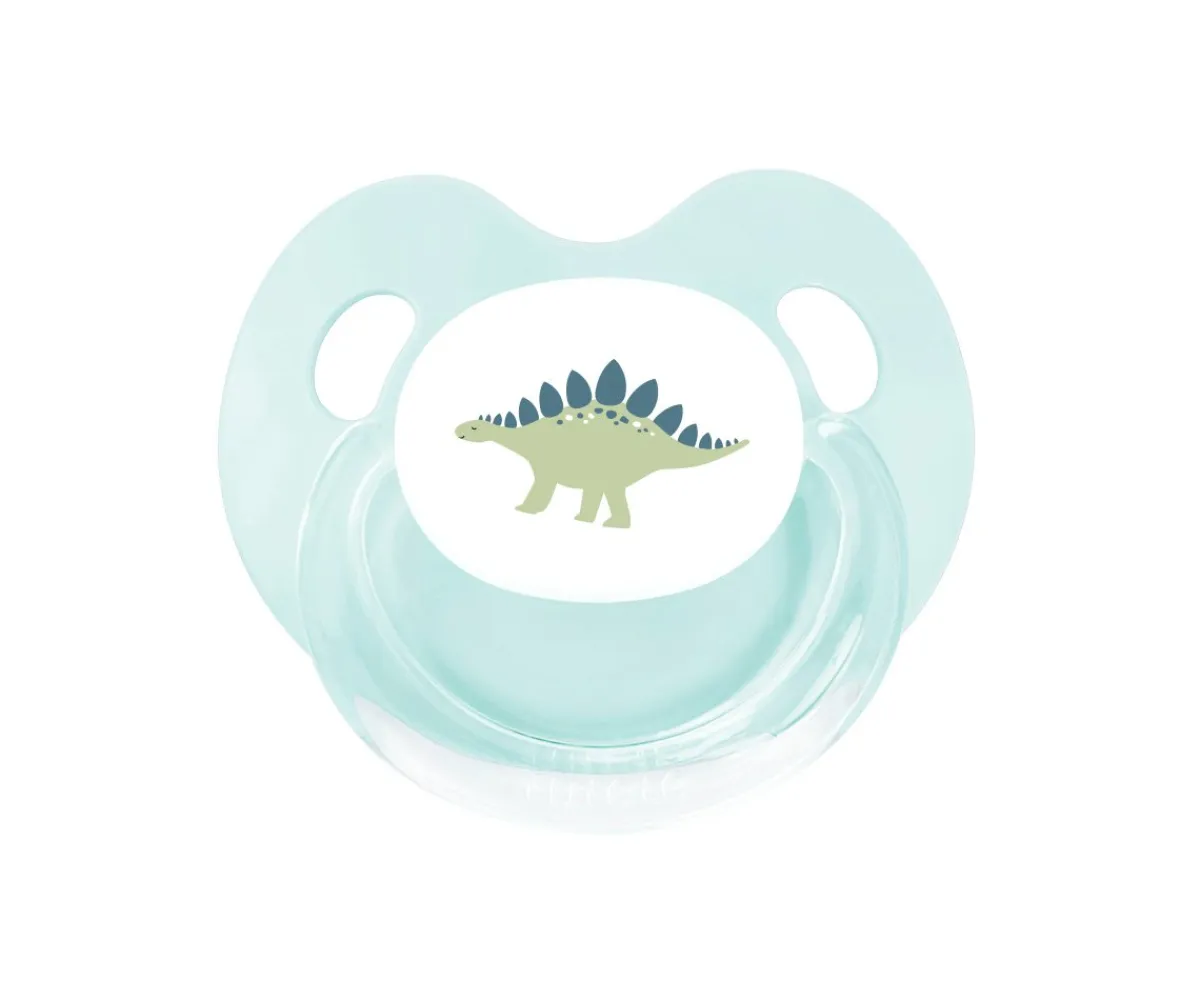 Chupete Retro Aqua Dinosaurio Colecciones Vuelta Al Cole|Chupetes Con Diseños