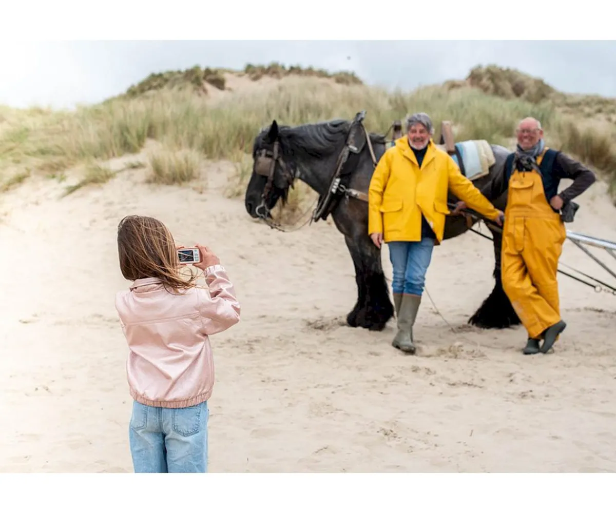 Discount Cámara Digital Zoo Friends Penguin Niños Juguetes Niños 4 Años|Juguetes Niños 7 Años