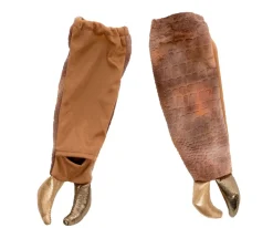 Disfraces Para Niños^Great Pretenders Disfraz Capa Grandasaurus Triceratops