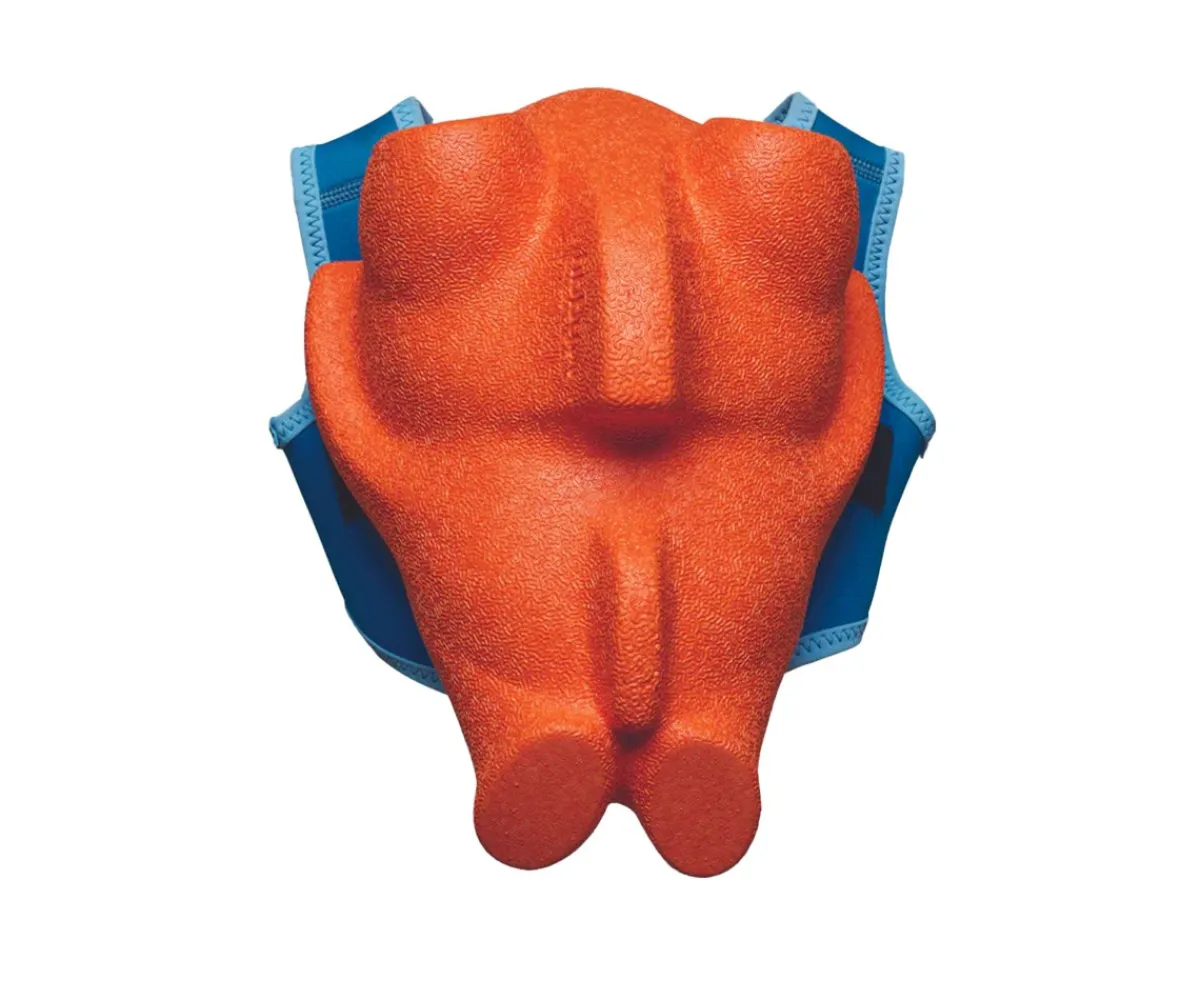 Chaleco Flotador Para Niños Y Bebes^Fibby Dispositivo para Nadar + Aplicación de Aprendizaje