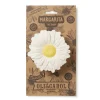 Online Flor Mordedor Látex Oli&Carol Margarita The Daisy Niños Juguetes Para Niños De Un Año|Juguetes Más Recomendados