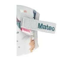 Colecciones Vuelta Al Cole^Tutete Funda Neopreno Dinos World 350ml Personalizable