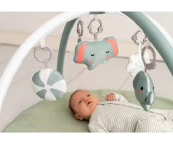 Best Gimnasio de Actividades Mint Niños Gimnasio Bebé|Juguetes Para Recién Nacidos