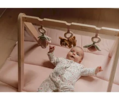 Hot Gimnasio Infantil Madera Fairy Garden Niños Juguetes Para Recién Nacidos|Juguetes Bebé 6 Meses