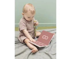 Outlet Libro Para Contar All Animals Niños Juguetes Para Niños De 18 Meses|Juguetes Niños 3 Años