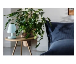 Iluminación^Fatboy Lámpara de Mesa Edison The Ambiance Polar Blue