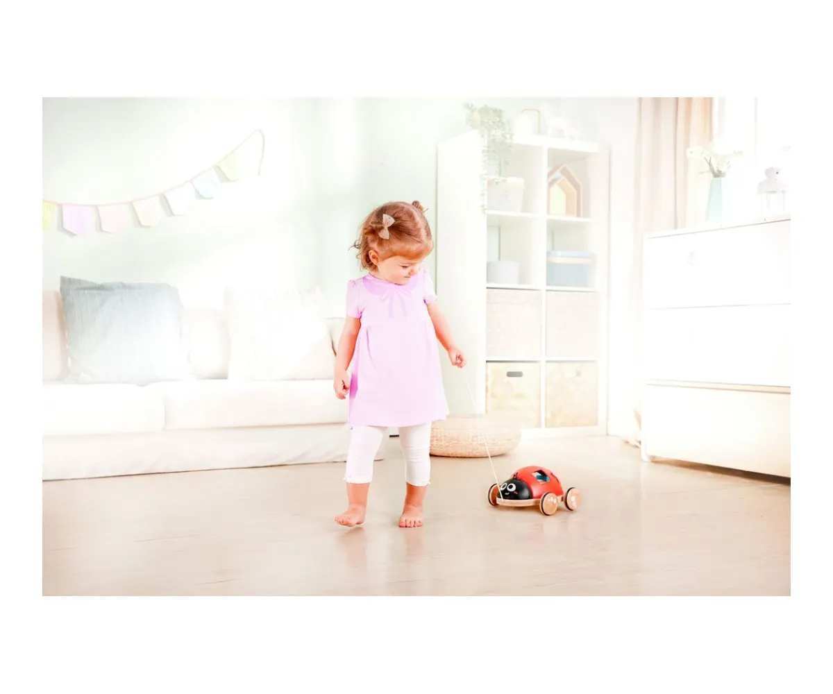 Best Mariquita Clasificadora de Formas Niños Juguetes Para Niños De Un Año|Juguetes Para Niños De 18 Meses