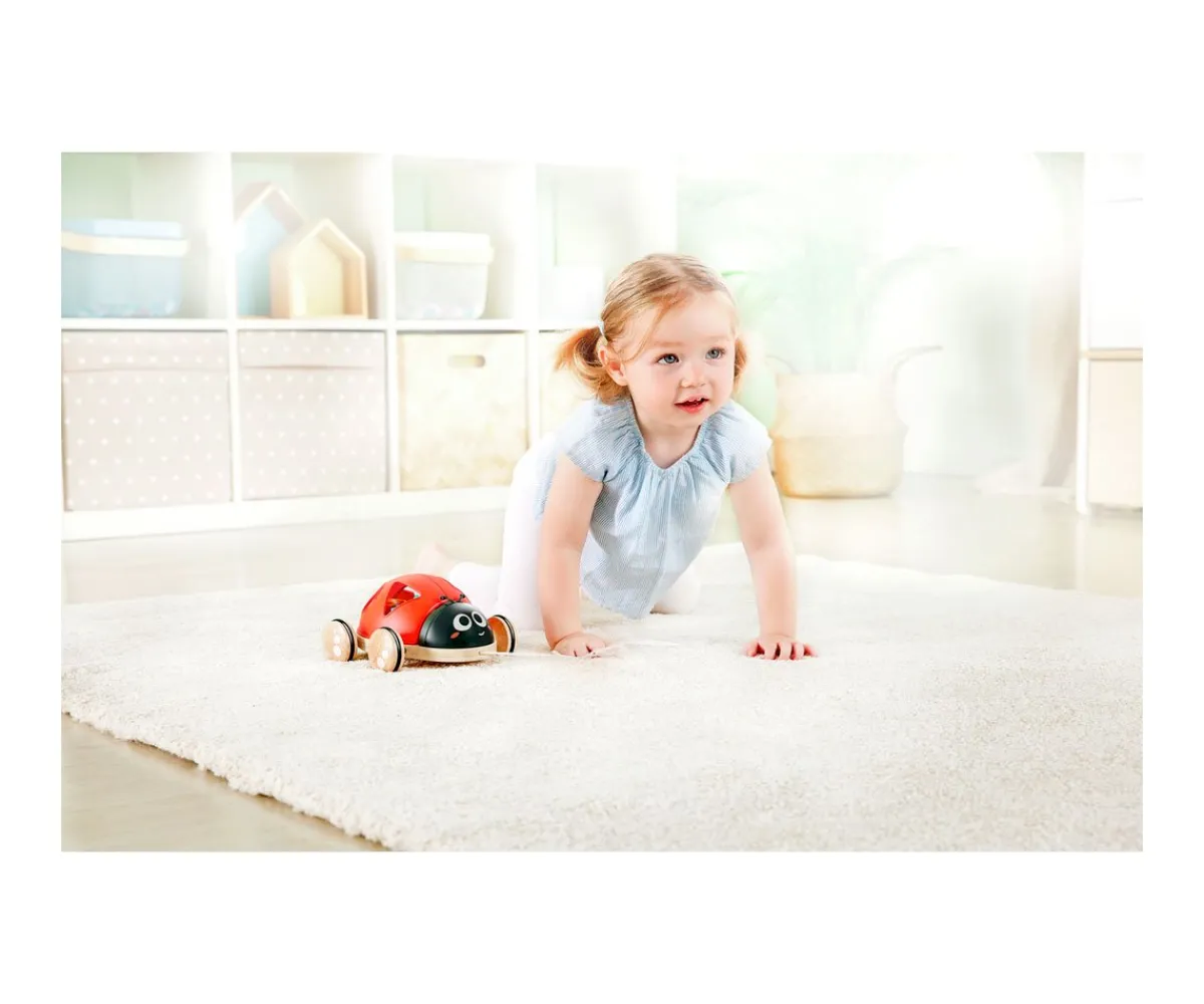 Best Mariquita Clasificadora de Formas Niños Juguetes Para Niños De Un Año|Juguetes Para Niños De 18 Meses