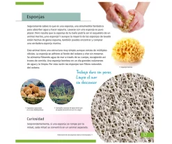 Juguetes Niños 6 Años^Levenhuk Microscopio LabZZ M101 Naranja + Libro Educativo