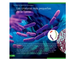Juguetes Niños 6 Años^Levenhuk Microscopio LabZZ M101 Azul + Libro Educativo