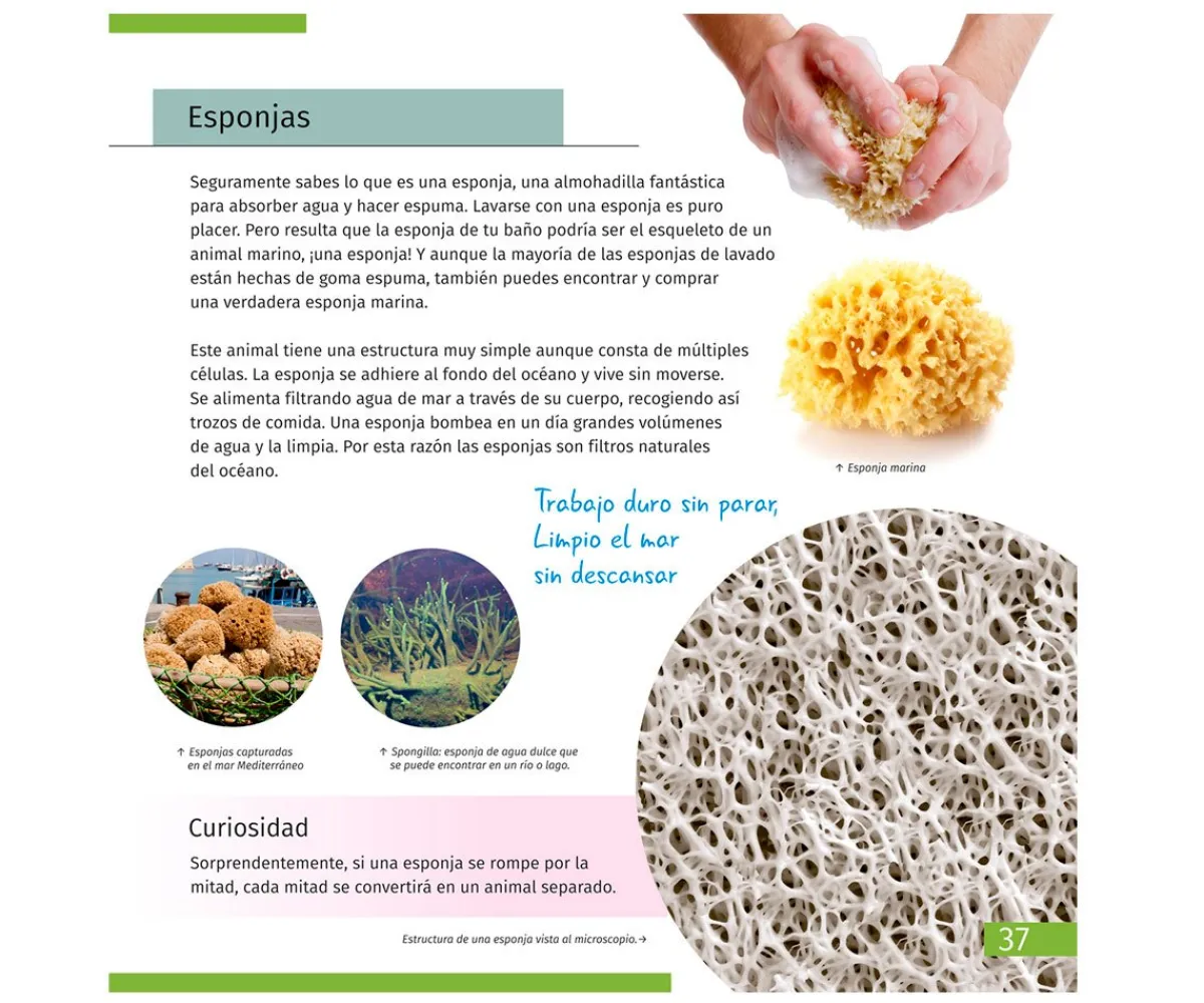 Juguetes Niños 6 Años^Levenhuk Microscopio LabZZ M101 Gris + Libro Educativo