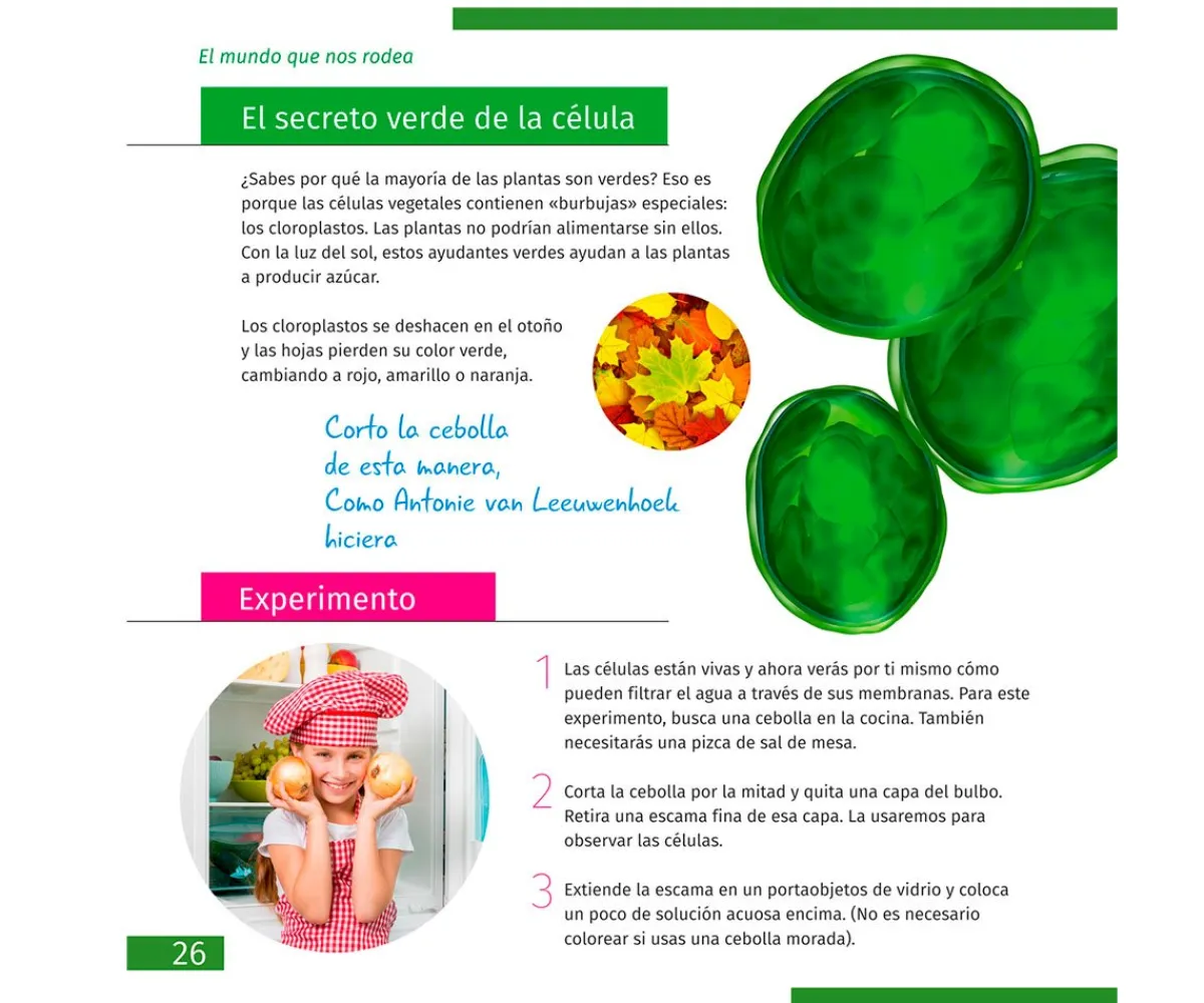 Juguetes Niños 6 Años^Levenhuk Microscopio LabZZ M101 Gris + Libro Educativo