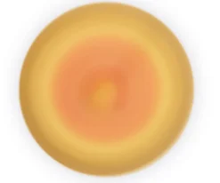 Sale Mini Peonza Pocket Cerdo Niños Juguetes Niños 3 Años|Juguetes Niños 5 Años