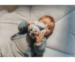 Sale Pelota Sensorial Forest Friends Niños Juguetes Para Recién Nacidos|Sonajeros Bebé