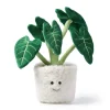 Peluches^McHugs Peluche Alocasia Bonsai