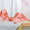 Online Peluche Conejo con Mini Doudou Terracota Personalizable Niños Juguetes Bebé 6 Meses|Juguetes Para Niños De Un Año