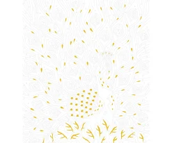 Outlet Pintura Por Números Pájaros Fabulosos Niños Juguetes Niños 8 Años|Juguetes Niños 7 Años