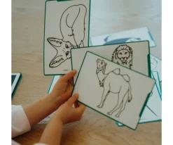 Online Plantillas KidyDraw Mini Animales, Océanos y Piratas Niños Juguetes Niños 7 Años|Juguetes Niños 8 Años